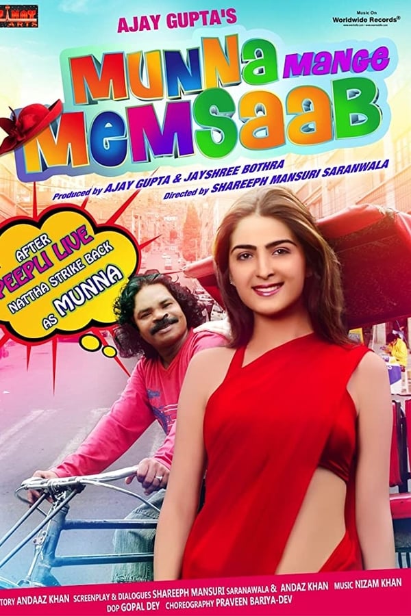 Munna Mange Memsaab (2014)