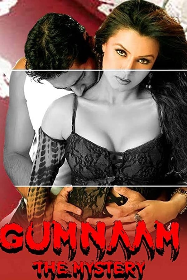 Gumnaam: The Mystery (2008)