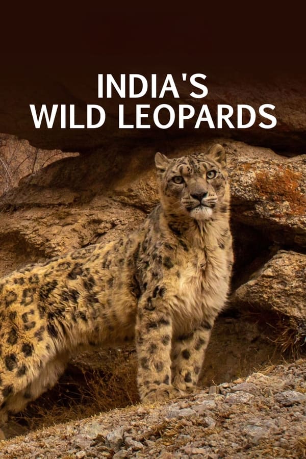 India's Wild Leopards (2020)